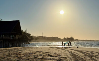 Tofo Beach Mozambique: The Ultimate Travel Guide 2025