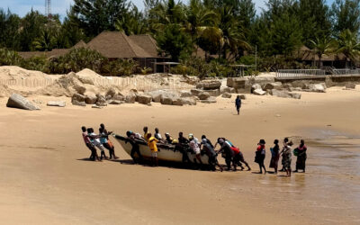 Diving in Tofo – encounters with manta rays, whale sharks, and untouched marine life